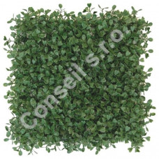 BUXUS GREEN (50CM X 50CM)